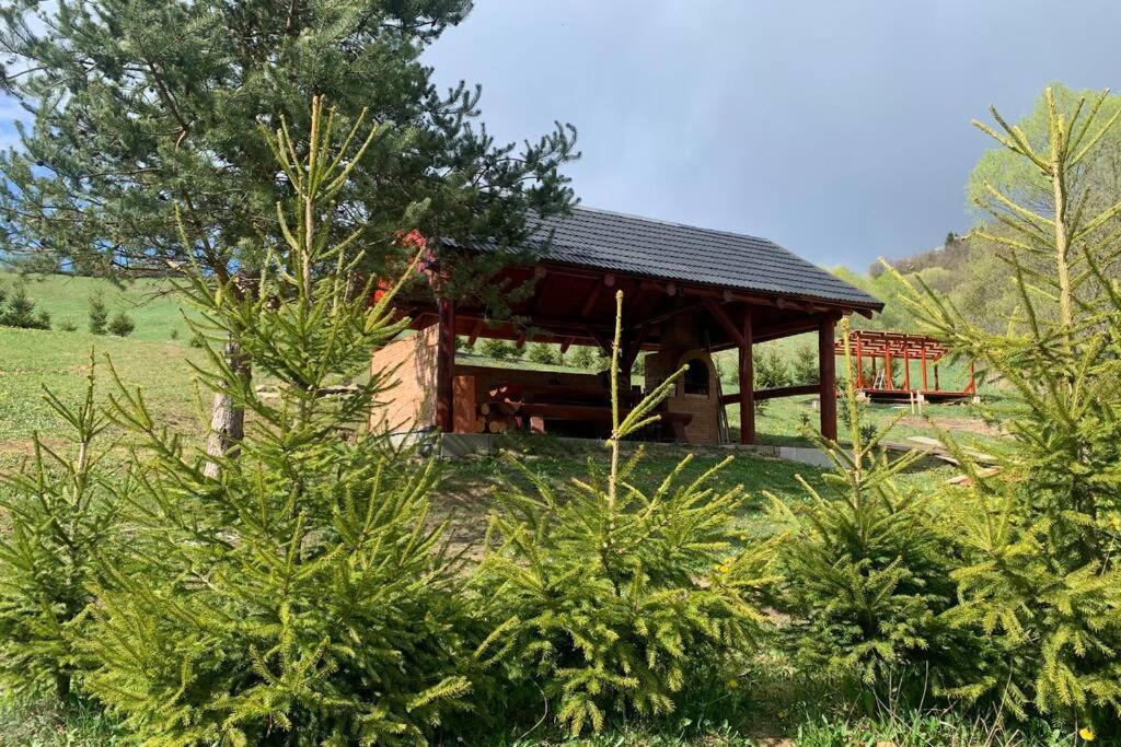 Domcek U Fera Zazriva Exterior foto